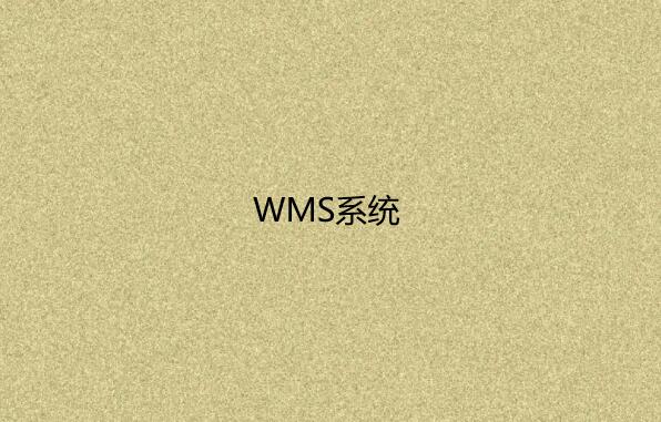 仓库管理系统（WMS）的核心功能